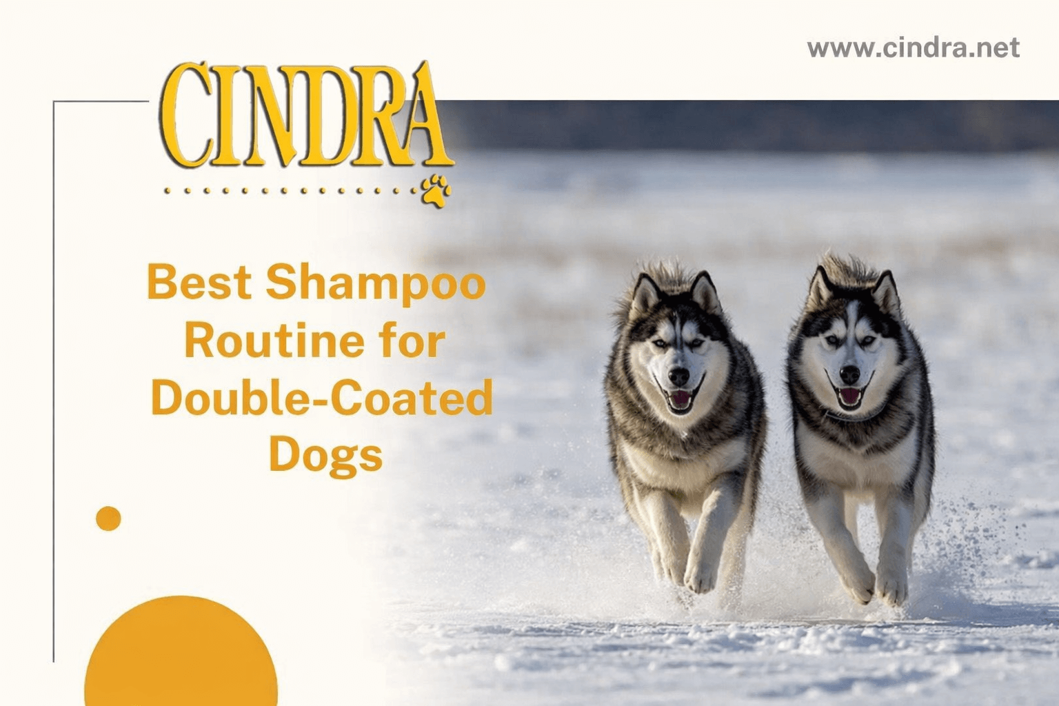 Skin Care Routine For Double Coated Dogs Reference: Best Shampoo Routine For Double Coated Dogs