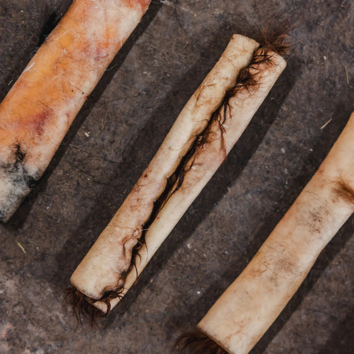 Three dried animal bones on a dark stone surface