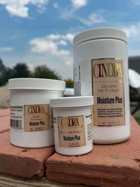 Cindra Moisture Plus Conditioner jar on a clean background
