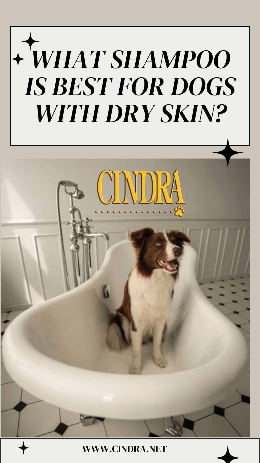 What shampoo is best for dogs with dry skin? - Cindra Pet Products