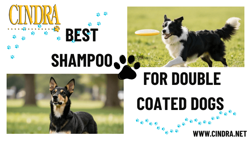 Double-coated dog breed, guide to choosing the best shampoo for thick coats