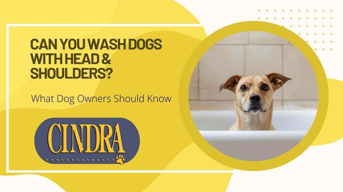 Can You Wash Dogs With Head & Shoulders? - Cindra Pet Products