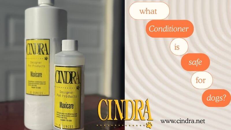 Dog conditioner bottle, guide to safe conditioners for dogs