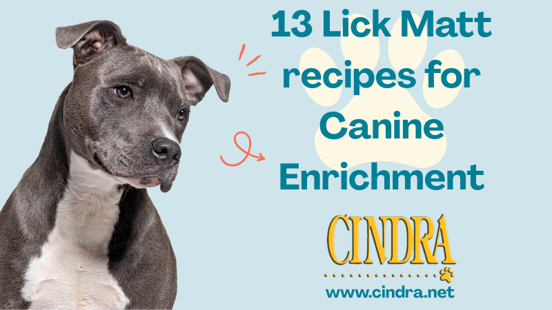 Dog licking a treat-filled lick mat for mental enrichment