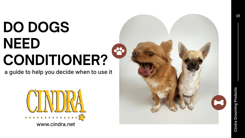 Two small dogs sitting side by side, one yawning, beside the title “Do Dogs Need Conditioner? A guide to help you decide when to use it” with the Cindra Grooming Products logo.