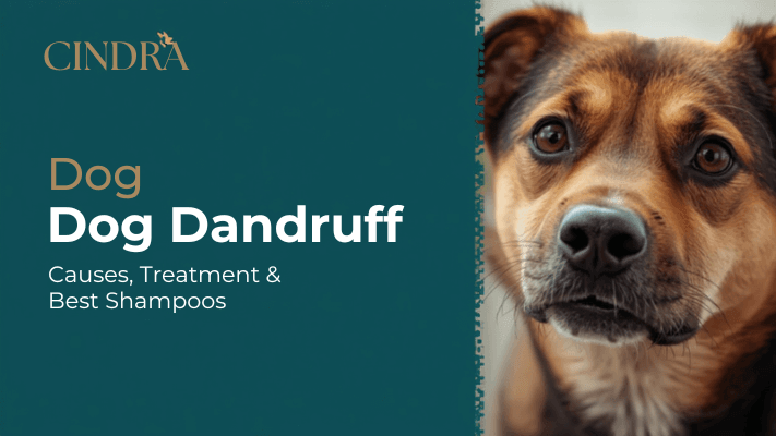 Dog dandruff flakes in coat showing causes of flaky dog skin and treatments including dog dandruff shampoo.
