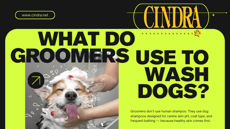Graphic reading “What do groomers use to wash dogs?” featuring a dog being bathed and Cindra Grooming Products branding