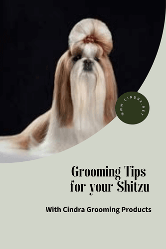 Grooming Tips for your Shitzu - Cindra Pet Products