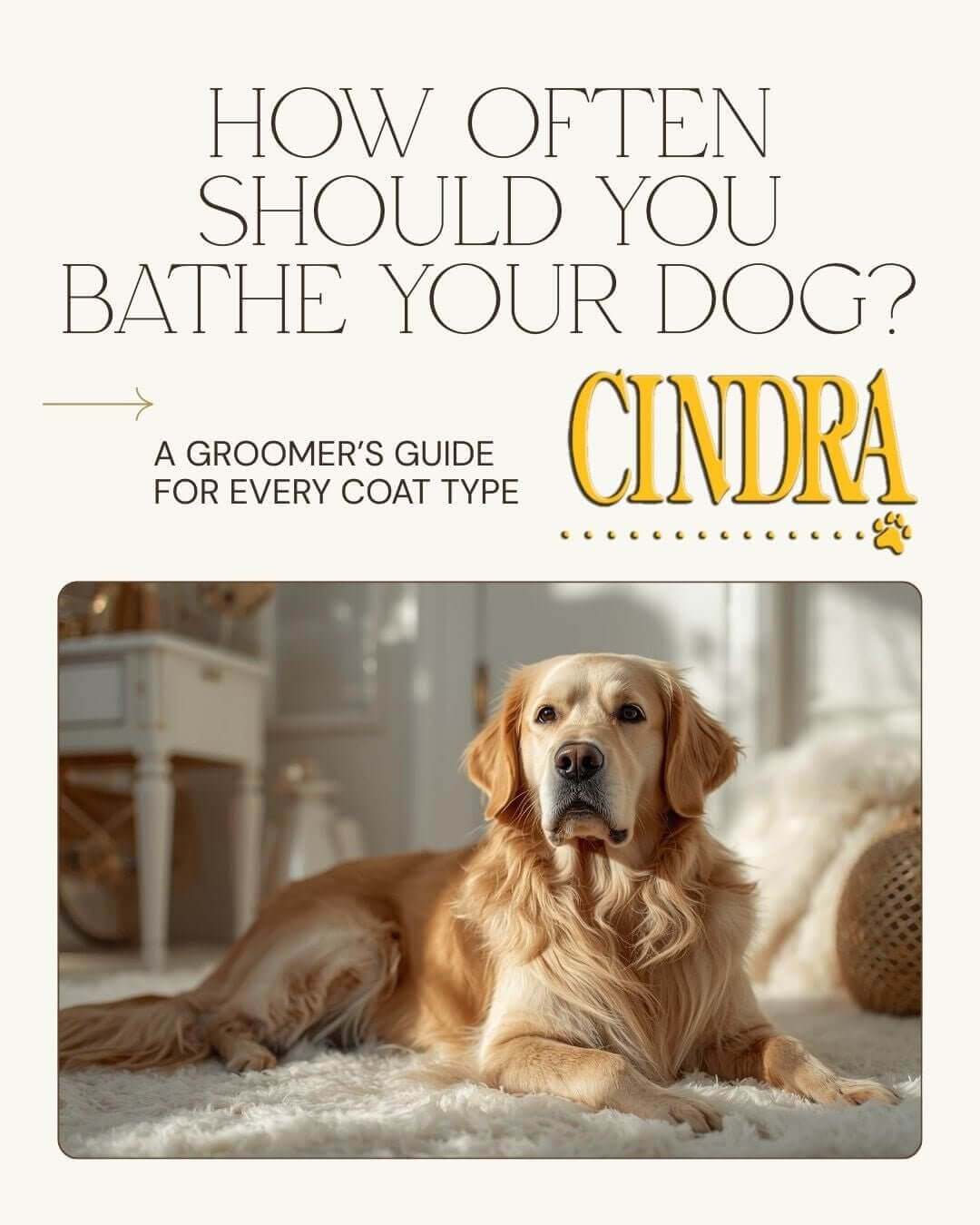 How Often Should You Bathe Your Dog? A Groomer’s Guide for Every Coat Type - Cindra Pet Products