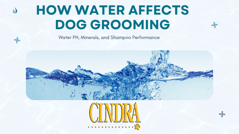 Water-themed Cindra graphic about how water pH, minerals, and water quality affect dog grooming and shampoo performance.