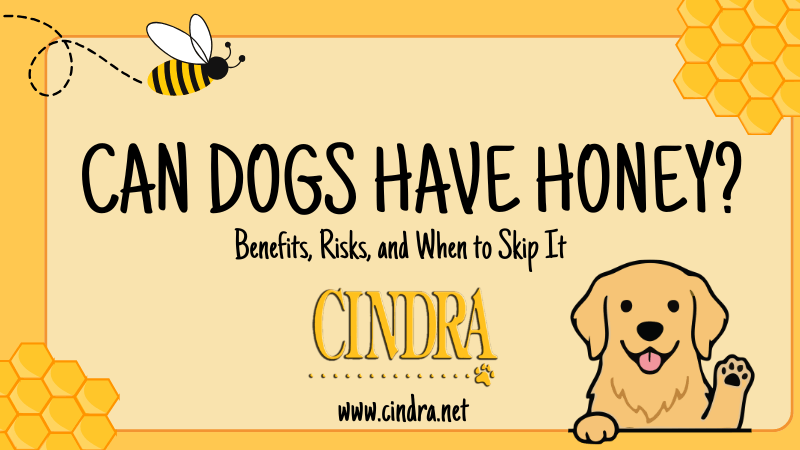 Can dogs have honey blog header with dog illustration and honey theme showing benefits risks and when to skip it