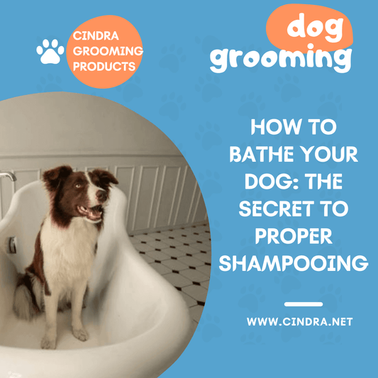 How to Bathe Your Dog: The Secret to Proper Shampooing - Cindra Pet Products
