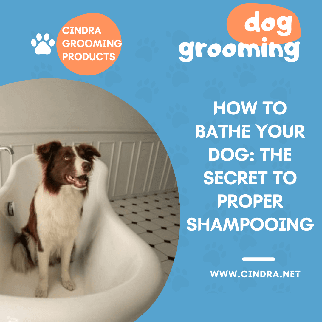 How to Bathe Your Dog: The Secret to Proper Shampooing - Cindra Pet Products