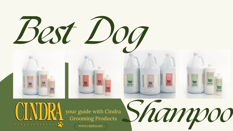 a grapfic with Cindra shampoos labeled "best dog shampoo"
