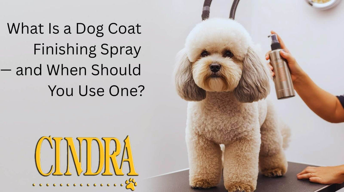 What Is a Dog Coat Finishing Spray — and When Should You Use One? - Cindra Pet Products