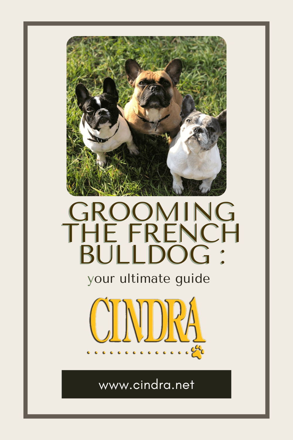 Image featuring three French Bulldogs sitting on grass with text that reads ‘Grooming the French Bulldog: Your Ultimate Guide.’ Cindra Grooming Products logo and website appear below.