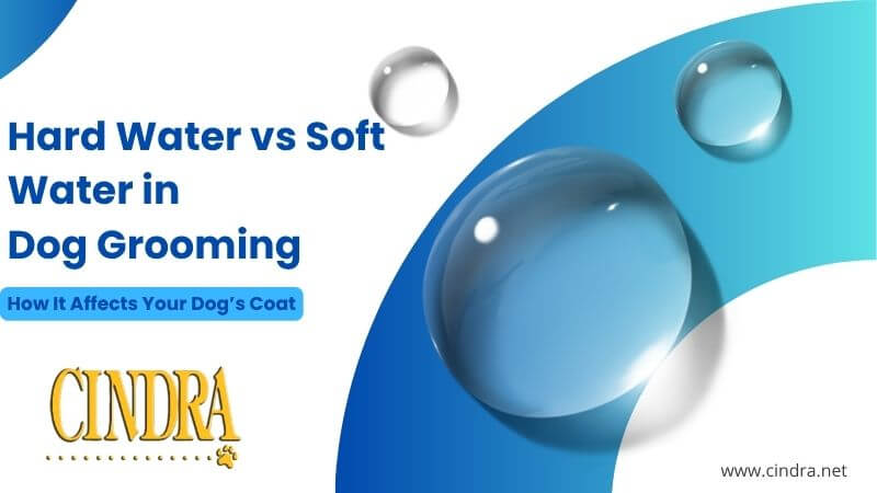 Cindra graphic comparing hard water vs soft water in dog grooming and how water quality affects a dog’s coat.