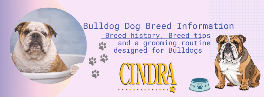 A graphic with bulldog breed information 
