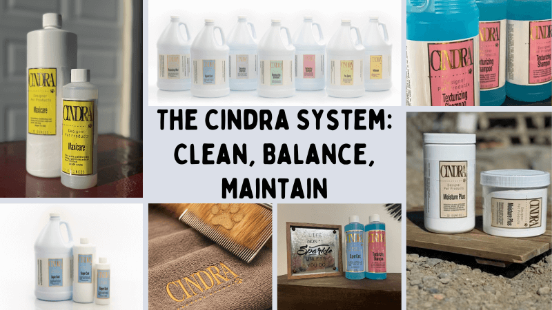 graphic explaining the Cindra Systems 