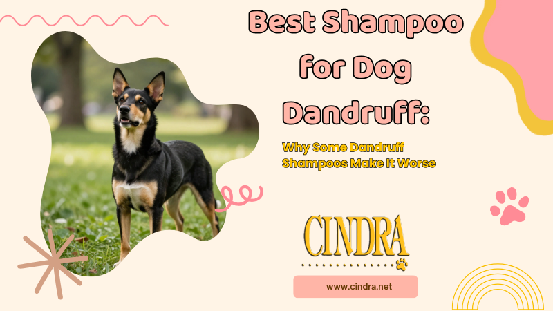 Black and tan dog beside a graphic reading, “Best Shampoo for Dog Dandruff: Why Some Dandruff Shampoos Make It Worse,” with the Cindra logo and website.