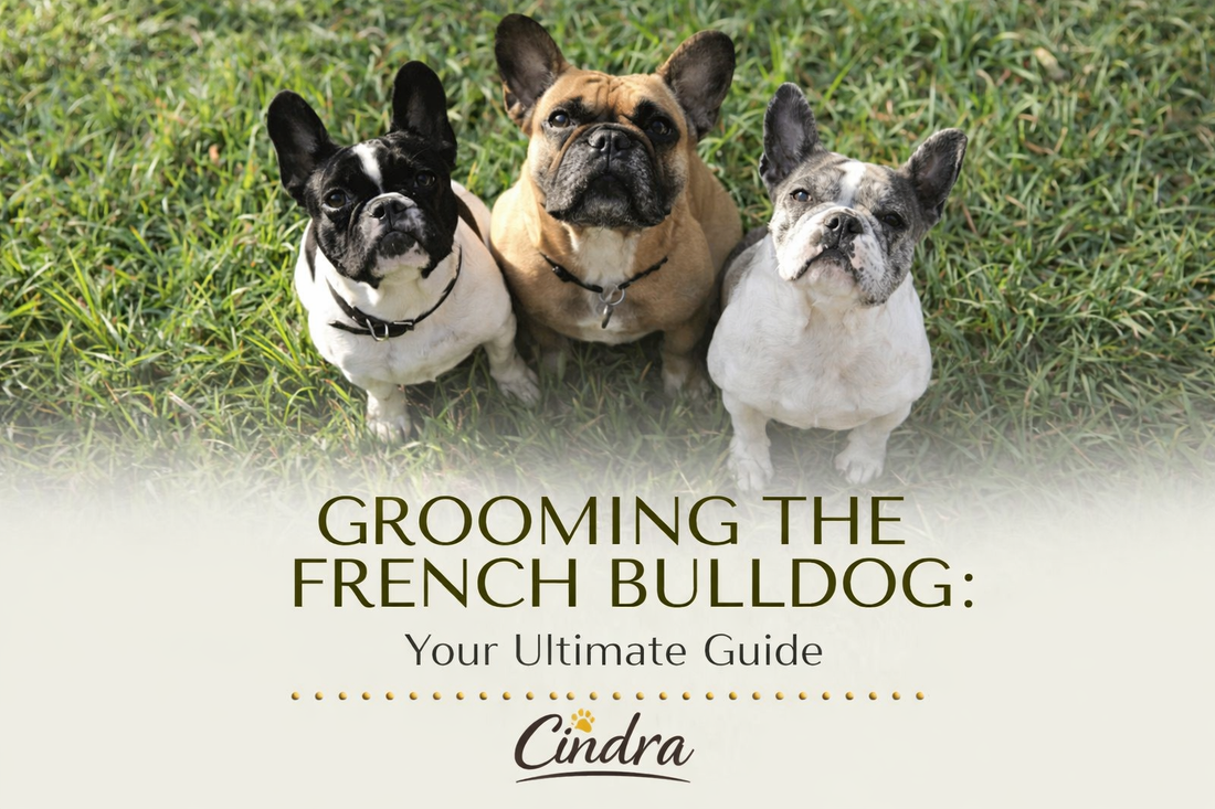 Three French bulldogs sitting on grass with text Grooming the French Bulldog Your Ultimate Guide by Cindra