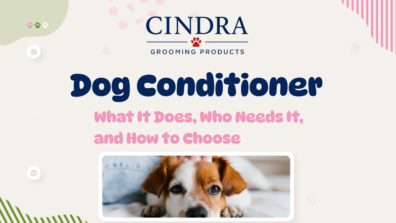 Cindra dog conditioner guide featuring a brown-and-white dog: what conditioner does, who needs it, and how to choose.