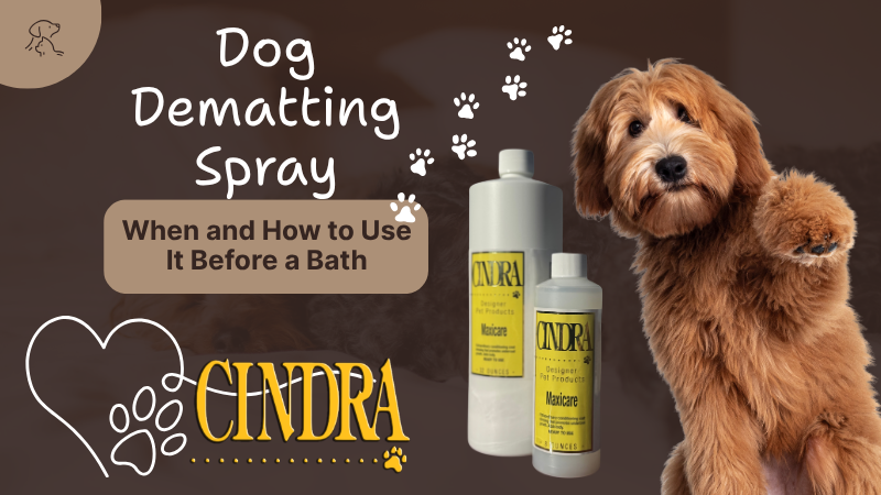 Cindra Grooming Products graphic promoting dog dematting spray and how to use it before a bath. Features two brown doodle-type dogs, bottles of Cindra Maxi Care conditioner, paw print accents, and the Cindra logo on a dark brown background.