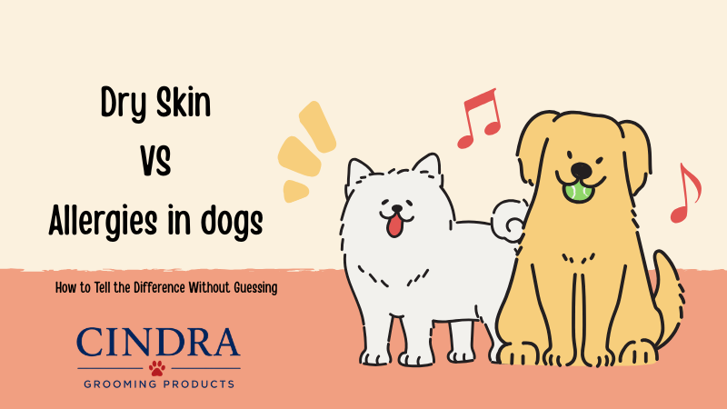 Dry Skin vs Allergies in Dogs: how to tell the difference, with illustrated dogs and Cindra Grooming Products logo.