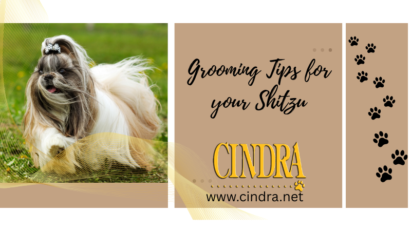 Shih Tzu with long silky coat featured in grooming tips guide for brushing, bathing, and coat care by Cindra Grooming Products