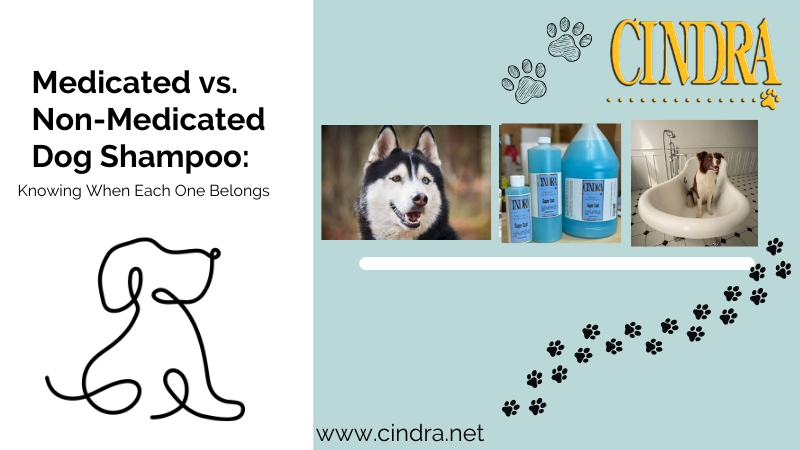 Comparison blog graphic for medicated versus non-medicated dog shampoo featuring Cindra products, a groomed dog, and a professional bath scene.