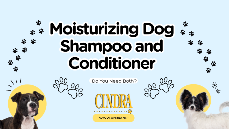 Boxer and Papillon beside a graphic reading, “Moisturizing Dog Shampoo and Conditioner: Do You Need Both?” with the Cindra logo and website.