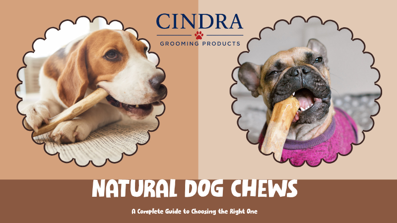 Beagle and French Bulldog enjoying natural dog chews beside the Cindra Grooming Products logo, for a guide to choosing the right natural dog chew.