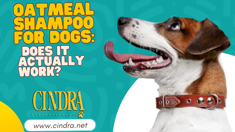 Bottle of oatmeal dog shampoo