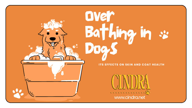  Over Bathing in Dogs: effects on skin and coat health, featuring a dog in a bubble bath and the Cindra logo.