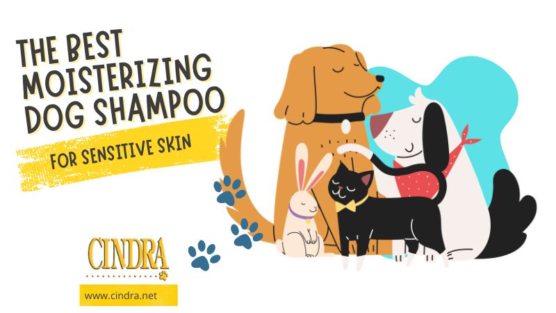 Best moisturizing dog shampoo for sensitive skin illustration featuring dogs, a cat, and a rabbit with Cindra Grooming Products branding.