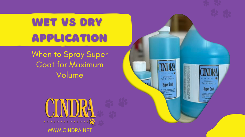 Cindra Super Coat bottles beside text reading, “Wet vs. Dry Application: When to Spray Super Coat for Maximum Volume,” with the Cindra logo and website.