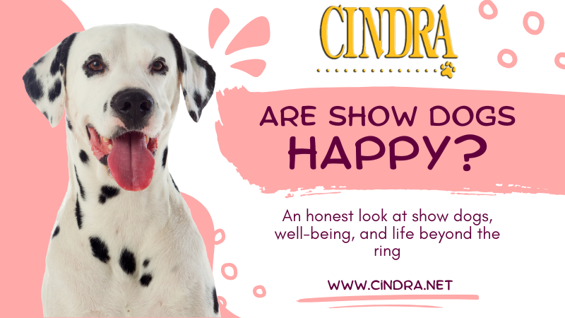 Are Show Dogs Happy?