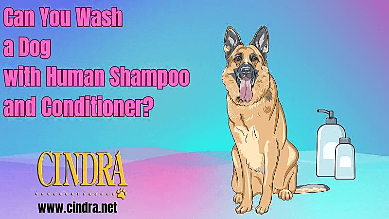 Dog being bathed, illustrating whether human shampoo is safe to use on dogs