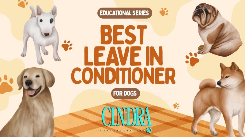 Cindra Grooming Products educational graphic titled “Best Leave In Conditioner for Dogs,” surrounded by illustrations of a Bull Terrier, Bulldog, Golden Retriever and Shiba Inu.
