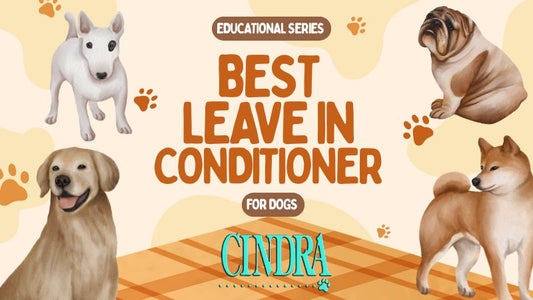 Cindra Grooming Products educational graphic titled “Best Leave In Conditioner for Dogs,” surrounded by illustrations of a Bull Terrier, Bulldog, Golden Retriever and Shiba Inu.