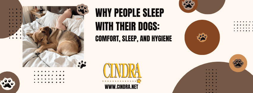 A graphic with a sleeping dog on a bed. 