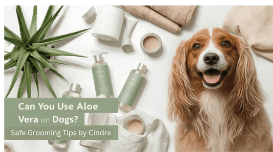 Flat lay of aloe vera leaves, natural grooming bottles, and a happy golden dog beside text reading ‘Can You Use Aloe Vera on Dogs? Safe Grooming Tips by Cindra.