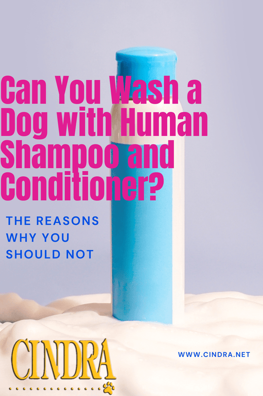 Graphic showing a blue shampoo bottle on a light background with text that reads ‘Can You Wash a Dog with Human Shampoo and Conditioner? The Reasons Why You Should Not.’ Cindra Grooming Products logo and website appear below.