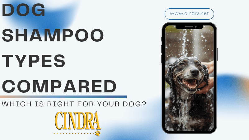 Dog shampoo types compared graphic showing a dog being bathed next to the headline “Dog Shampoo Types Compared: Which Is Right for Your Dog?” by Cindra.
