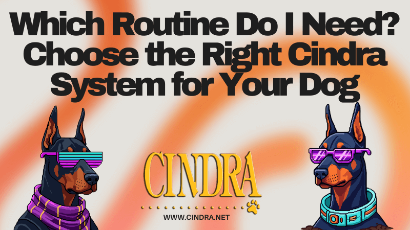 Which Routine Do I Need? Choose the Right Cindra System for Your Dog