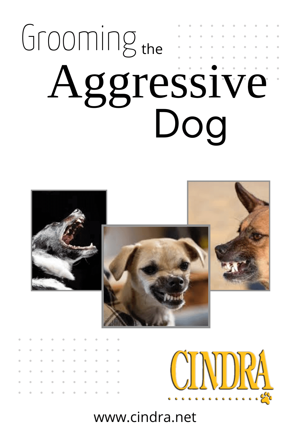 Graphic titled “Grooming the Aggressive Dog” with images of dogs displaying defensive or reactive behavior.