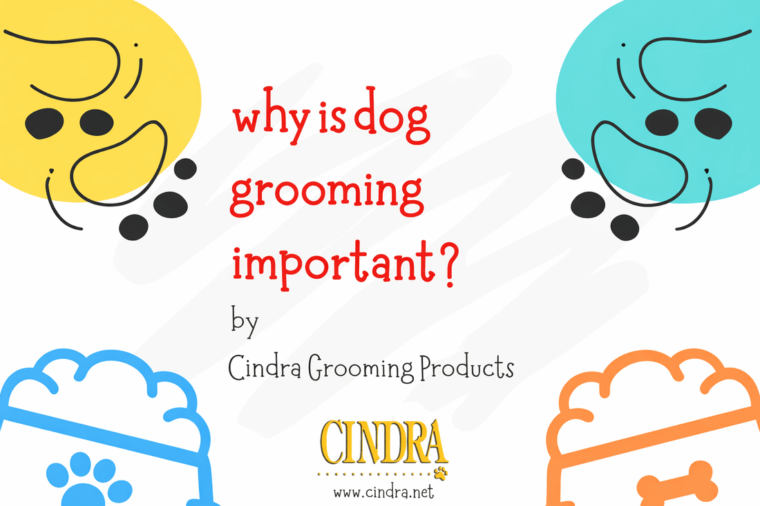 Illustrated banner for “What Is Dog Grooming and Why Is It Important?” featuring colorful dog graphics and Cindra Grooming Products branding.