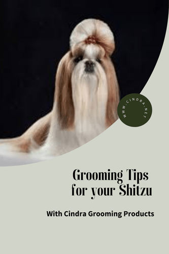 Grooming Tips for your Shitzu