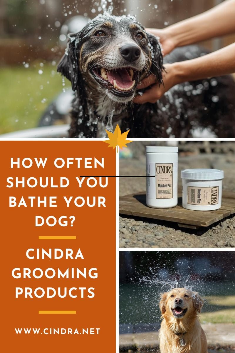 How often should you bathe your dog? - Cindra Pet Products