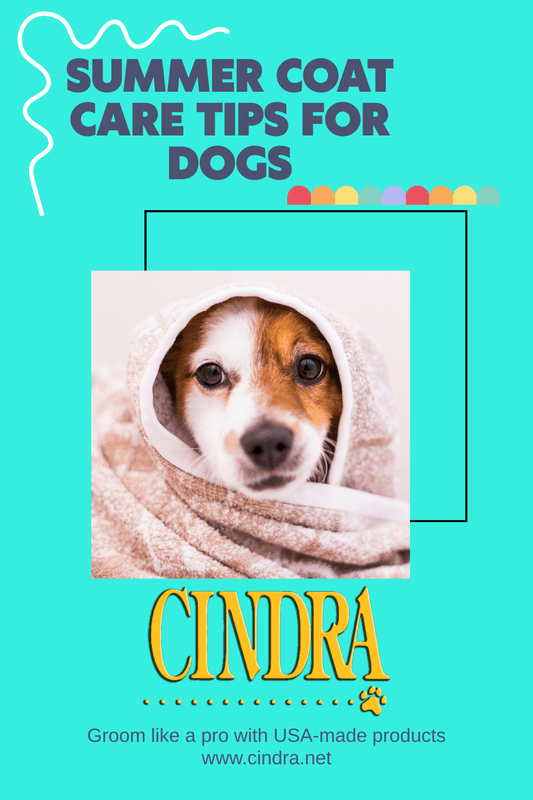 Summer Coat Care: How to Keep Your Dog’s Coat Healthy and Hydrated in Hot Weather - Cindra Pet Products
